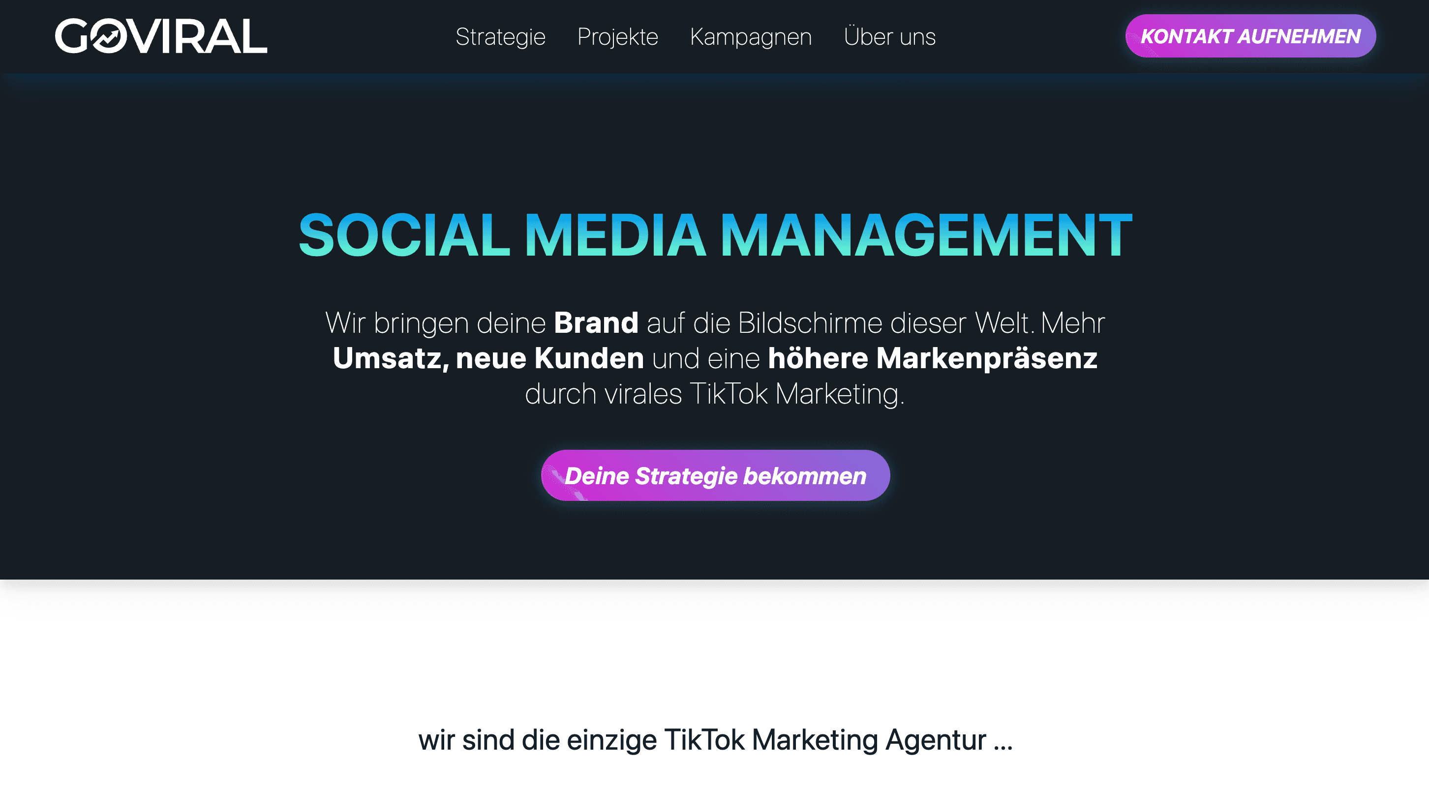 Beispiel eines erfolgreich umgesetzten Projekts von Optimized-Web für den Kunden Bild der Homepage von goviral.media - Projektkategorie: Homepage